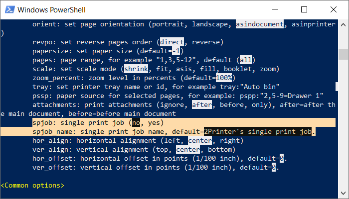 Enable single print job mode in 2Printer